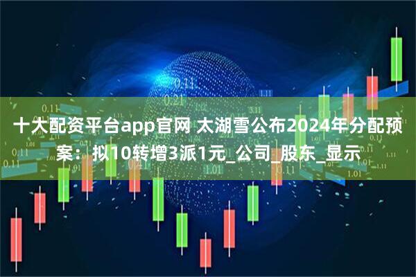 十大配资平台app官网 太湖雪公布2024年分配预案：拟10转增3派1元_公司_股东_显示