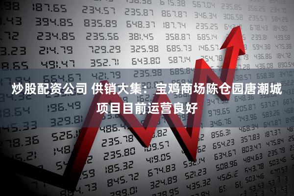 炒股配资公司 供销大集：宝鸡商场陈仓园唐潮城项目目前运营良好